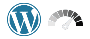 Icon WordPress optimisation